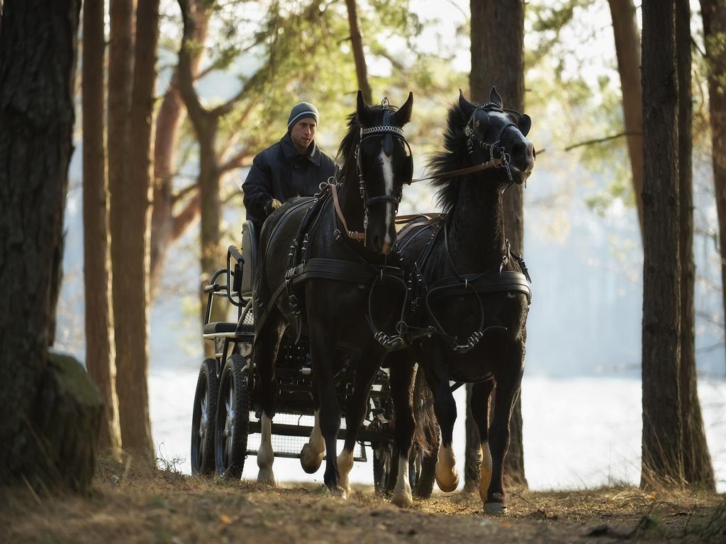 ホテル Warmia Park オルシュティン エクステリア 写真